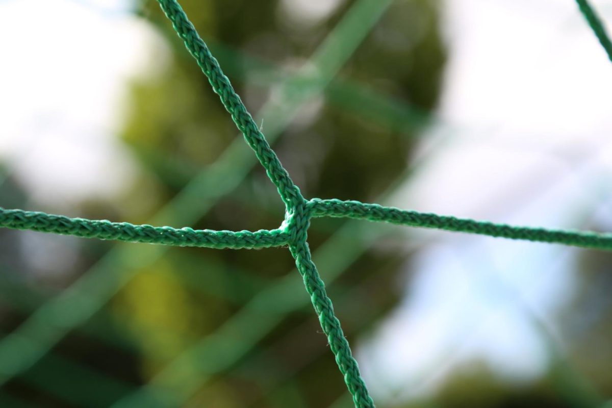 Les avantages des monofilaments pour les professionnels agricoles et industriels