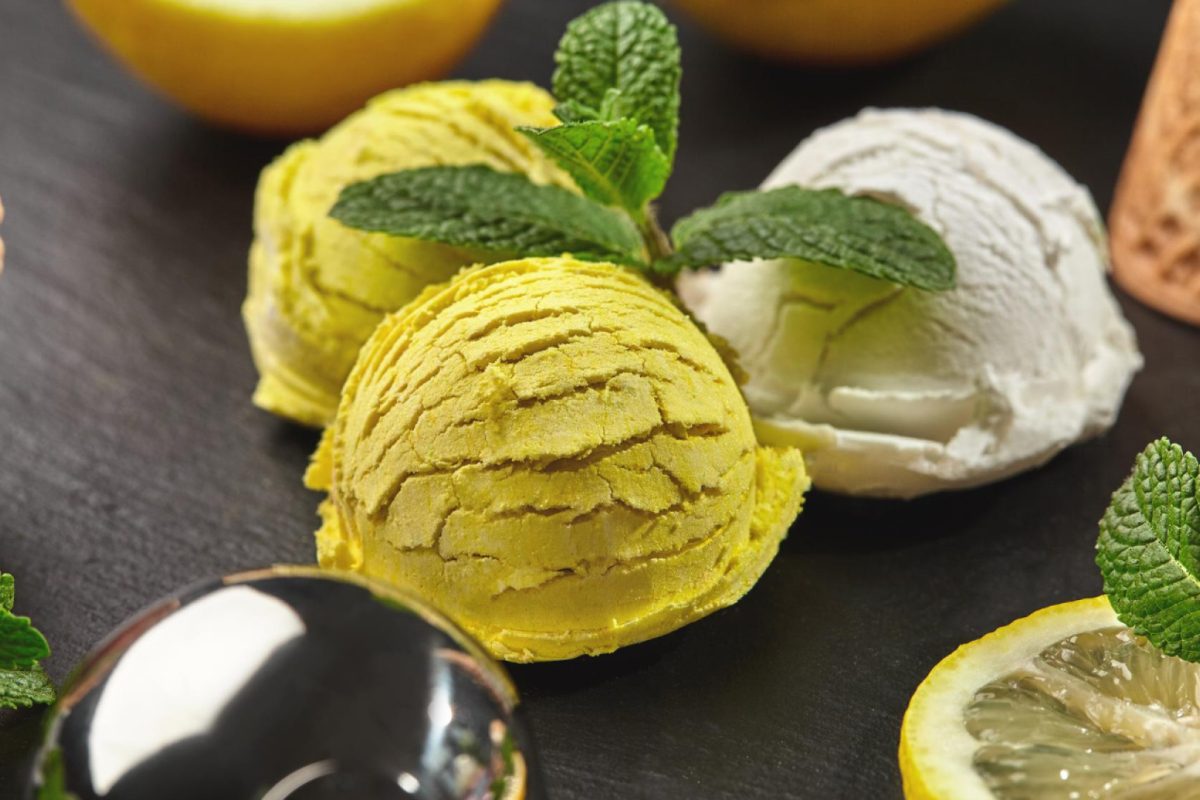 Sorbetière professionnelle : l’équipement indispensable pour glaces et sorbets